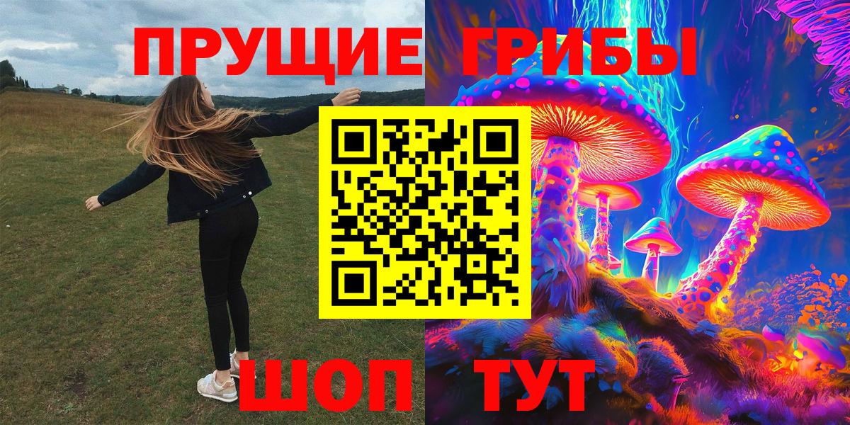 Знаменск  Псилоцибиновые грибы мицелий  где купить наркотик  Псилоцибиновые грибы Cubensis  Вход с VPN 
